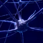 Neurofeedback e autismo: quali sono le novità?