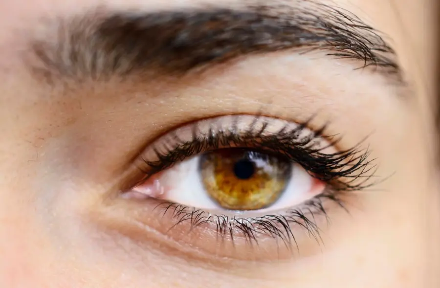 Occhi secchi, bruciore e sensibilità alla luce: come orientarsi tra le cause più comuni